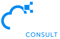 MMT Consult